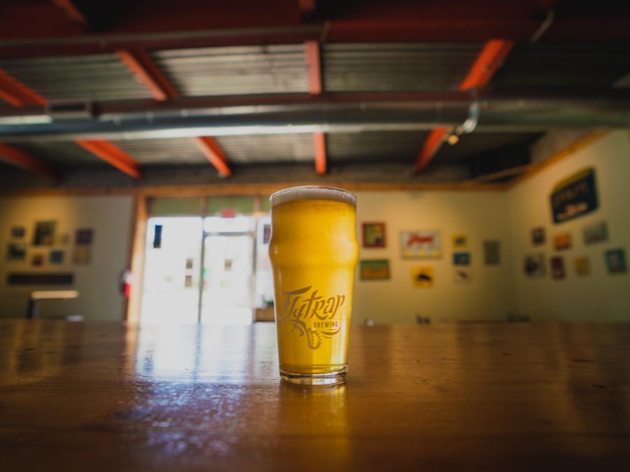 4x3 Flytrap Brewing